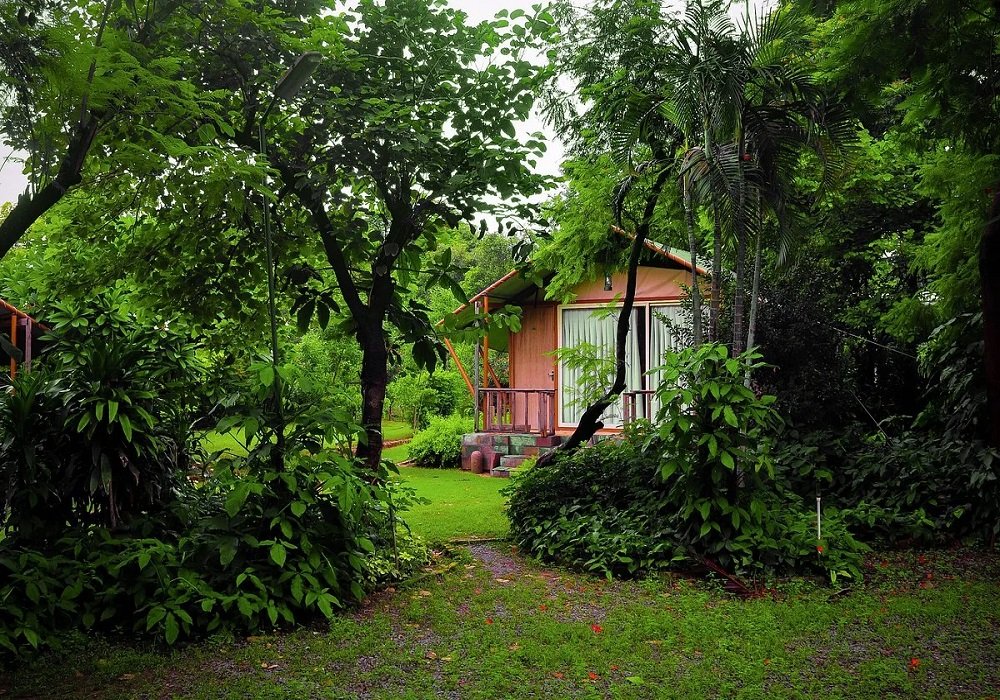 Botanix Nature Resort activities