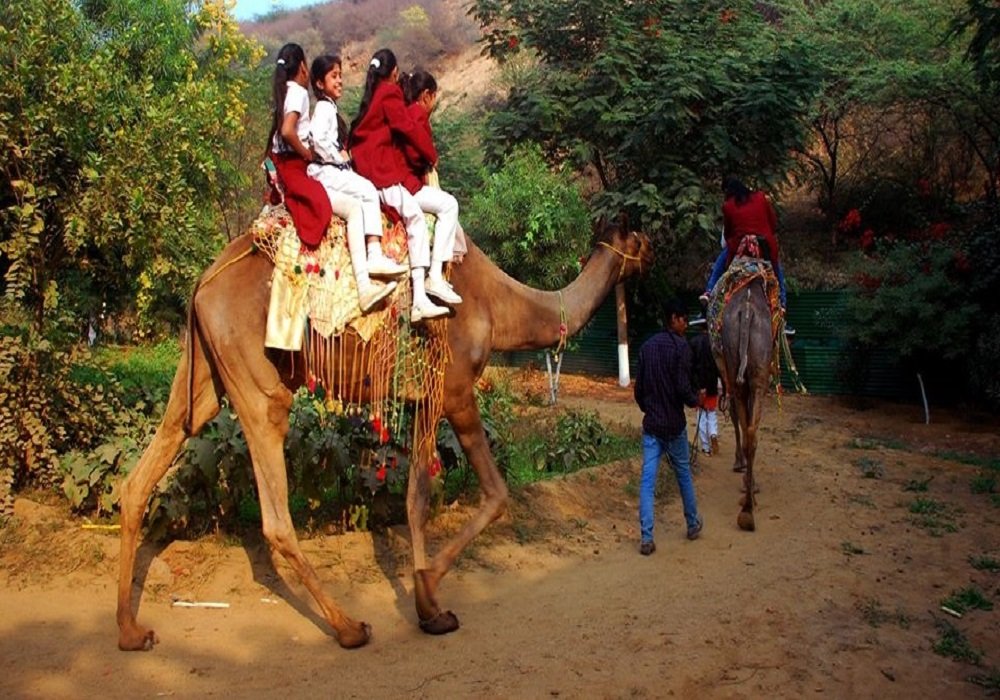 Group outing at Lohagarh Farms Gurgaon